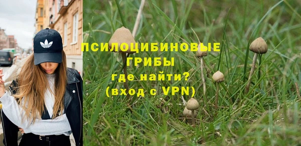 экстази Козловка