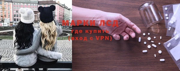 мяу мяу мука Кодинск